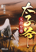 无敌至尊太子爷小说阅读