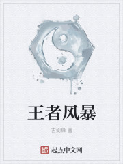 王者风暴小说阅读