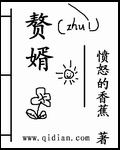 《赘婿》小说阅读