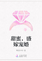 《甜蜜，盛嫁宠婚》小说阅读