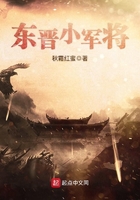 《东晋小军将》小说阅读