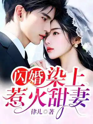 闪婚，染上惹火甜妻
